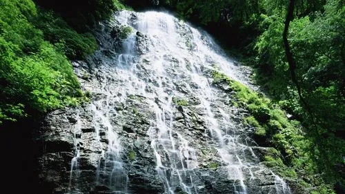 智能系统高精度